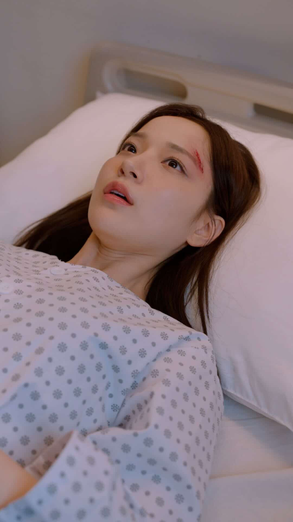 이미지 11