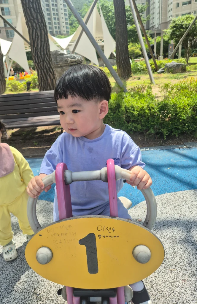 이미지 5