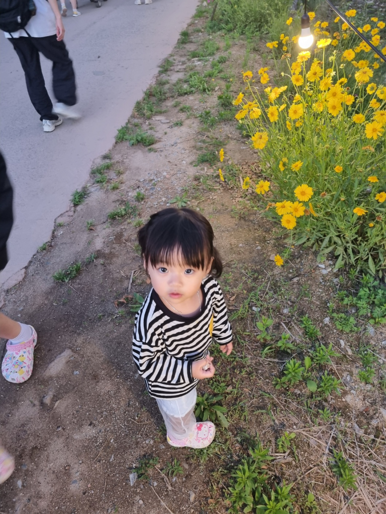 이미지 3