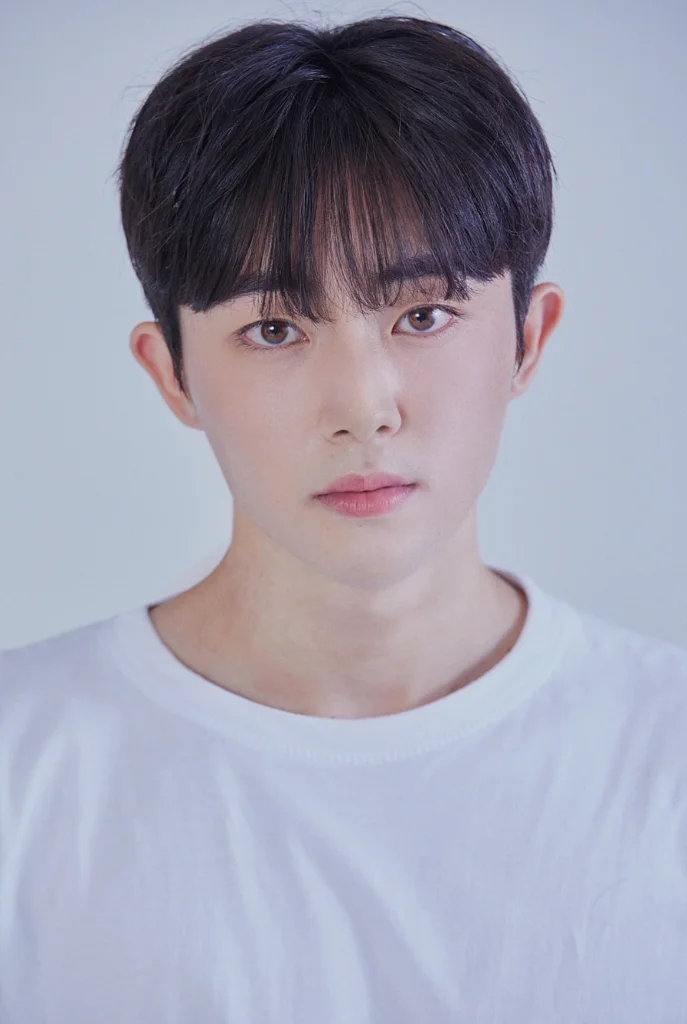 이미지 11