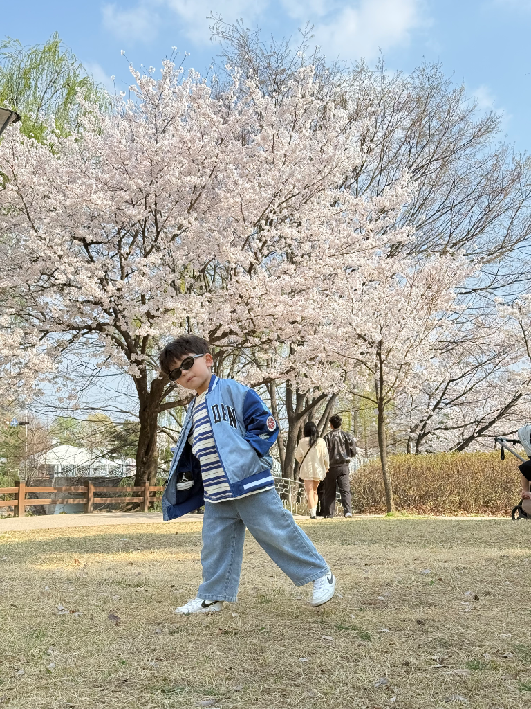 이미지 7