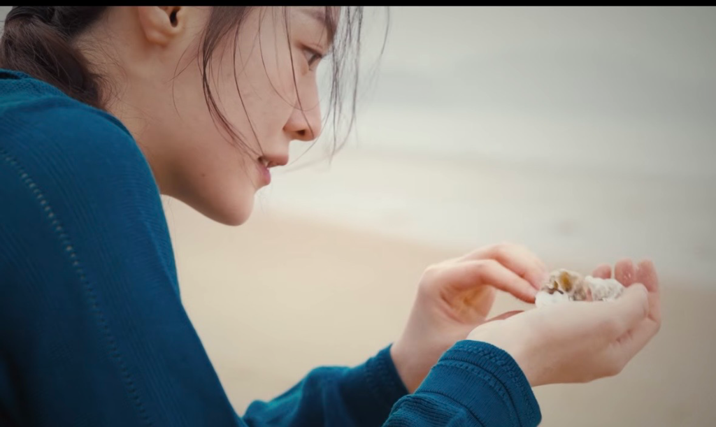 이미지 5