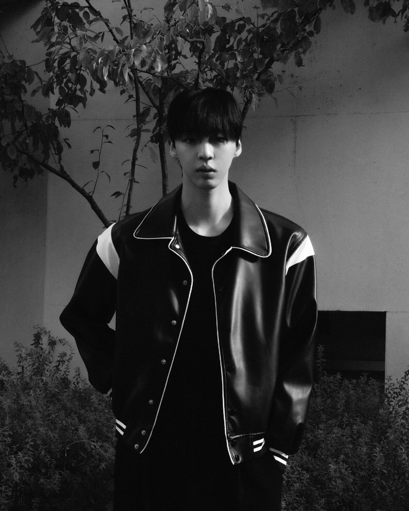이미지 14