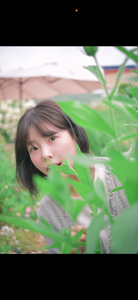 이미지 14
