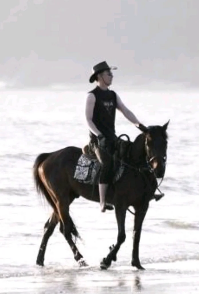이미지 9