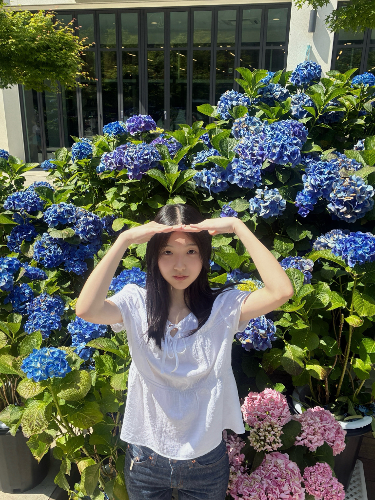 이미지 5