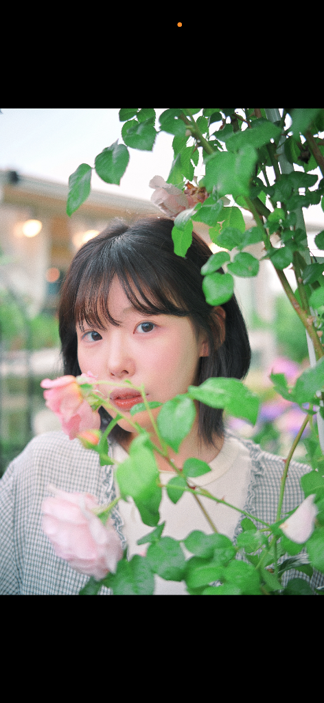 이미지 13