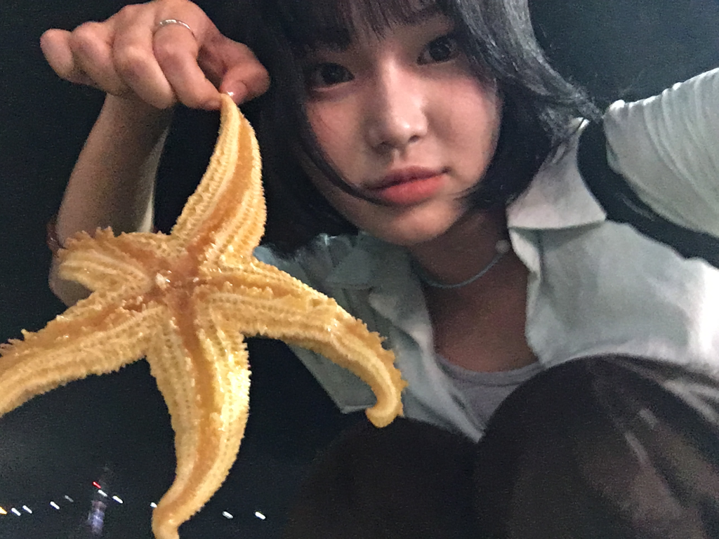 이미지 19