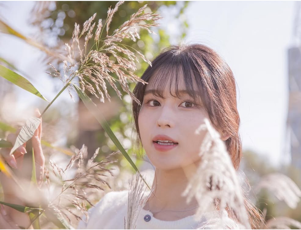 이미지 8