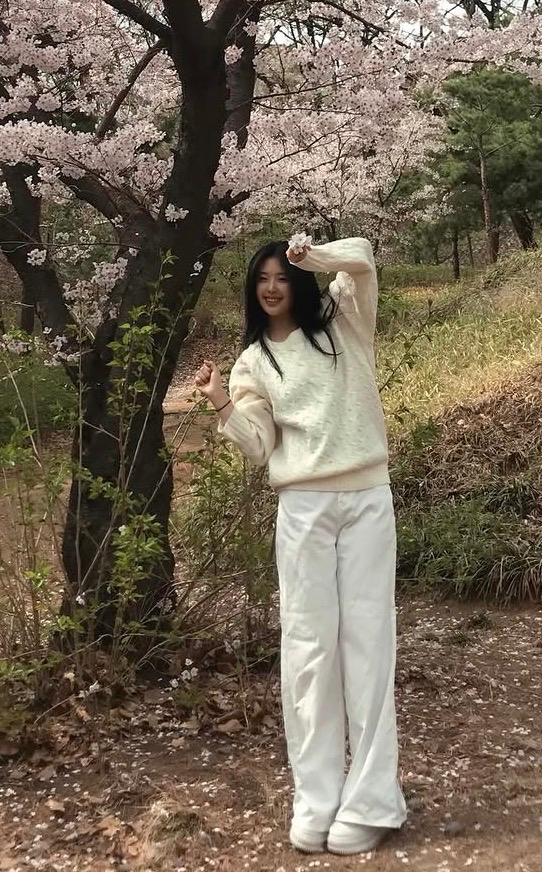 이미지 5