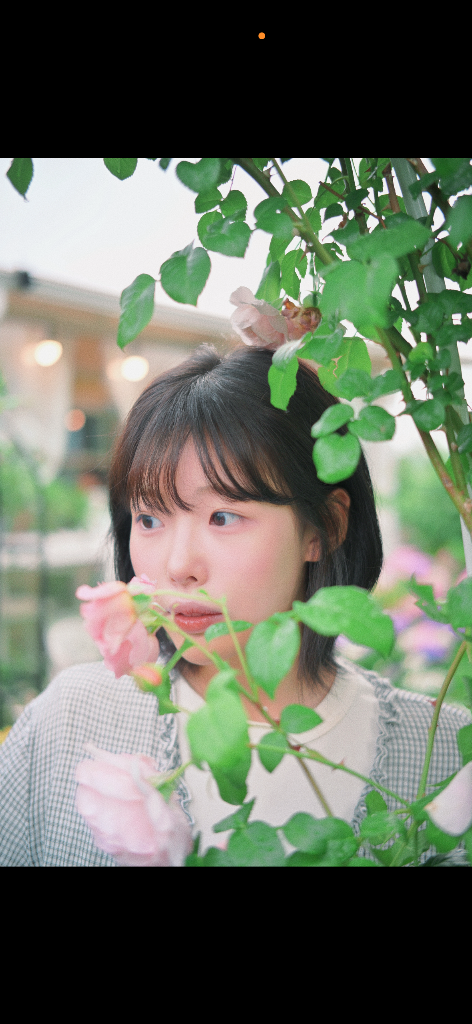 이미지 12