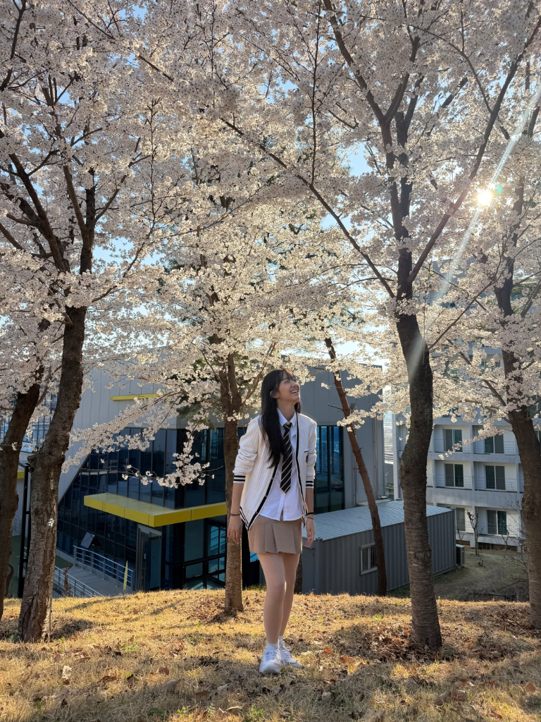 이미지 6