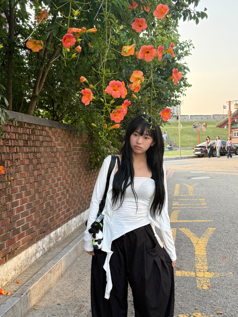 이미지 9