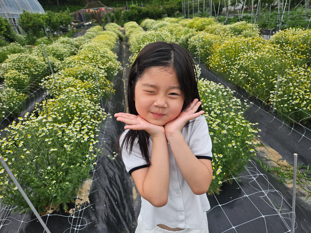 이미지 3