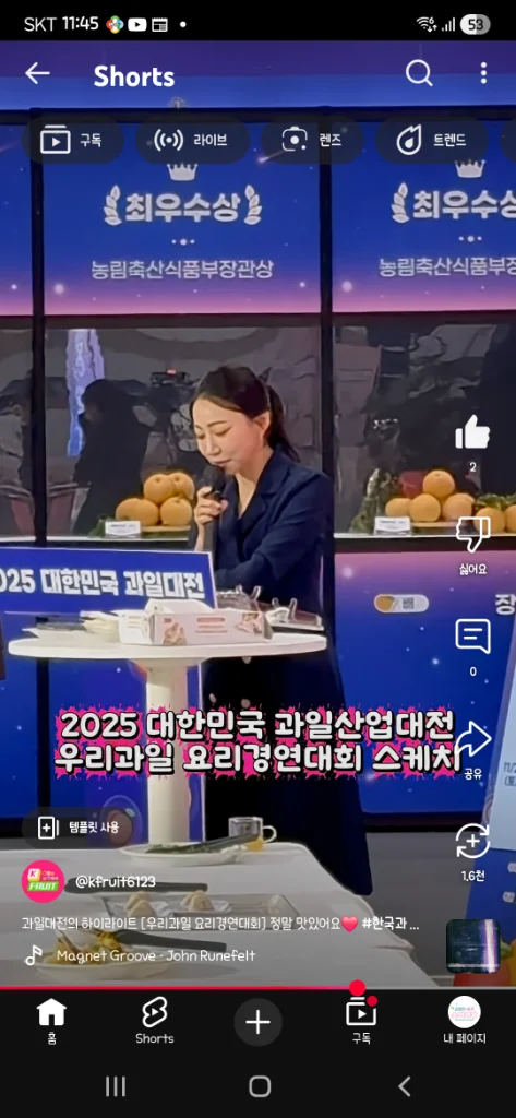 이미지 12