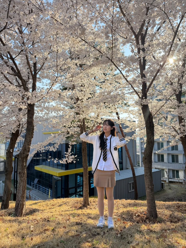 이미지 7