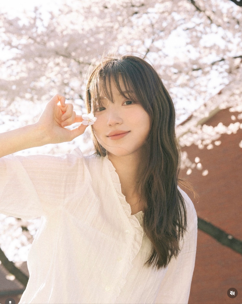 이미지 4