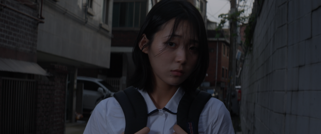 이미지 11