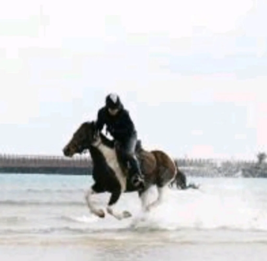 이미지 8