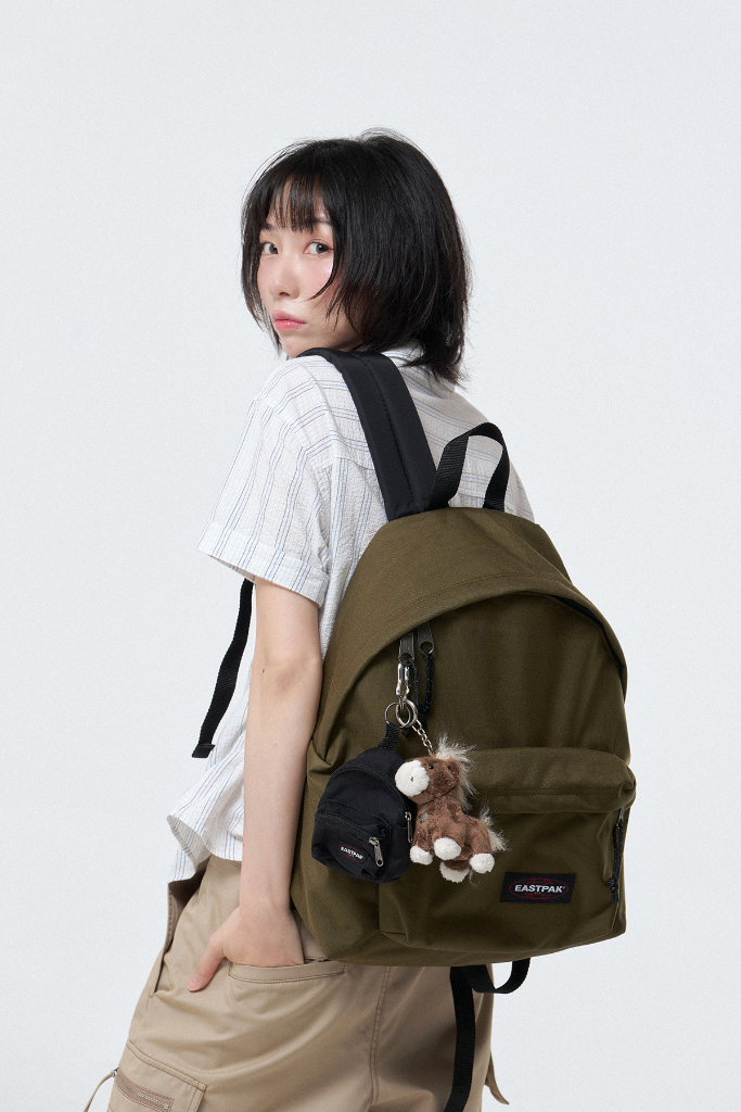 이미지 17
