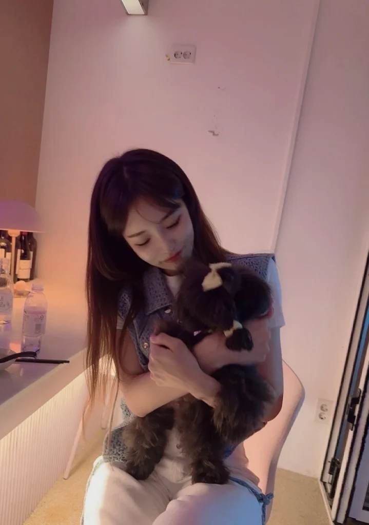 이미지 4