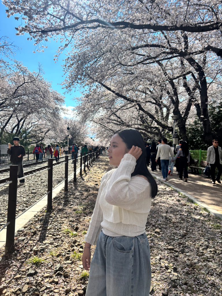 이미지 9