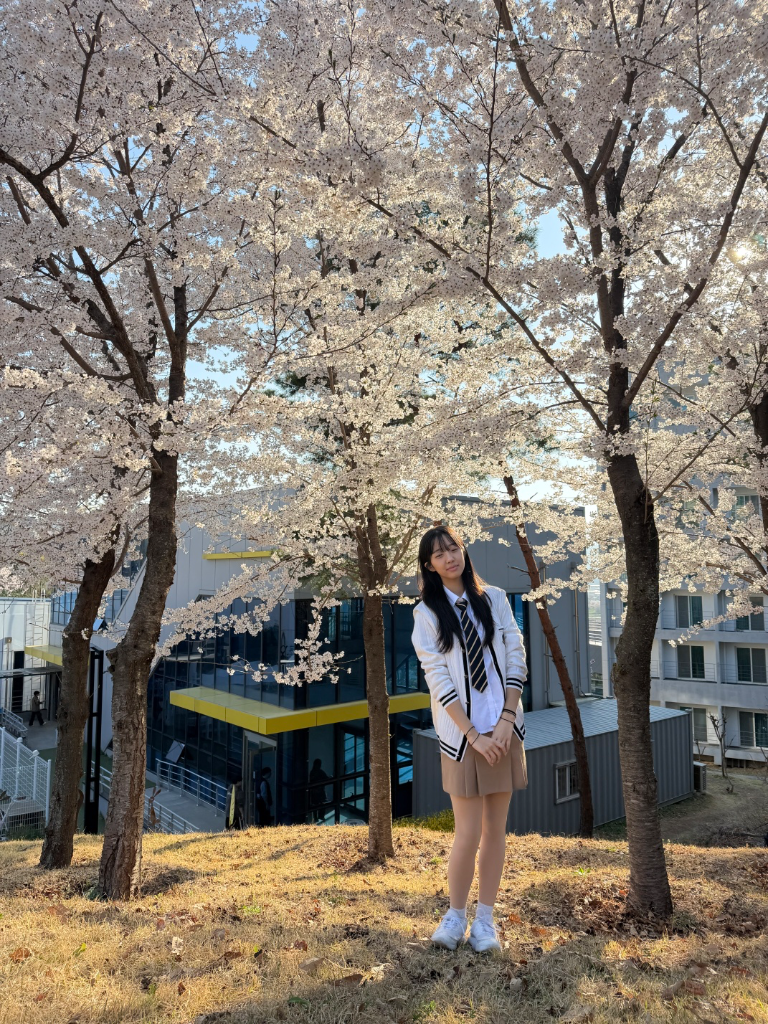 이미지 8