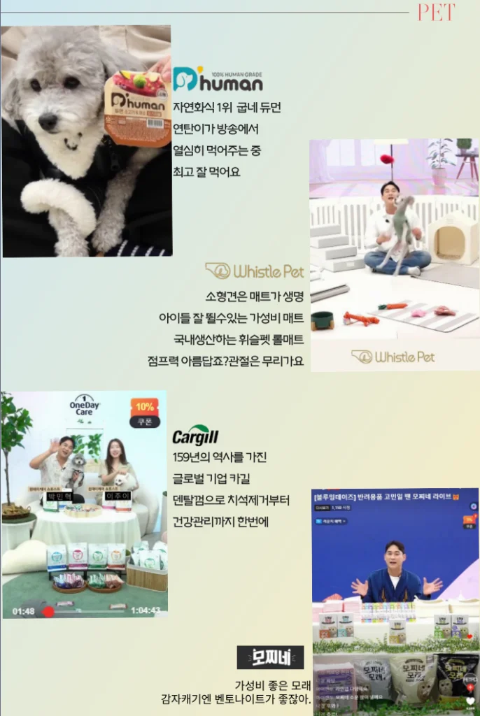 이미지 10