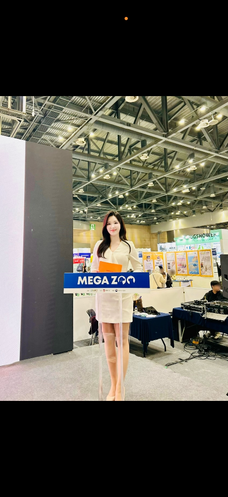 이미지 6