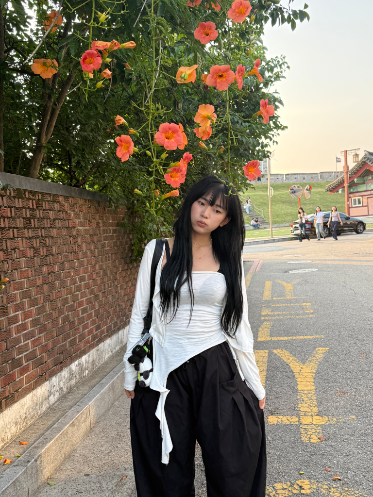 이미지 10