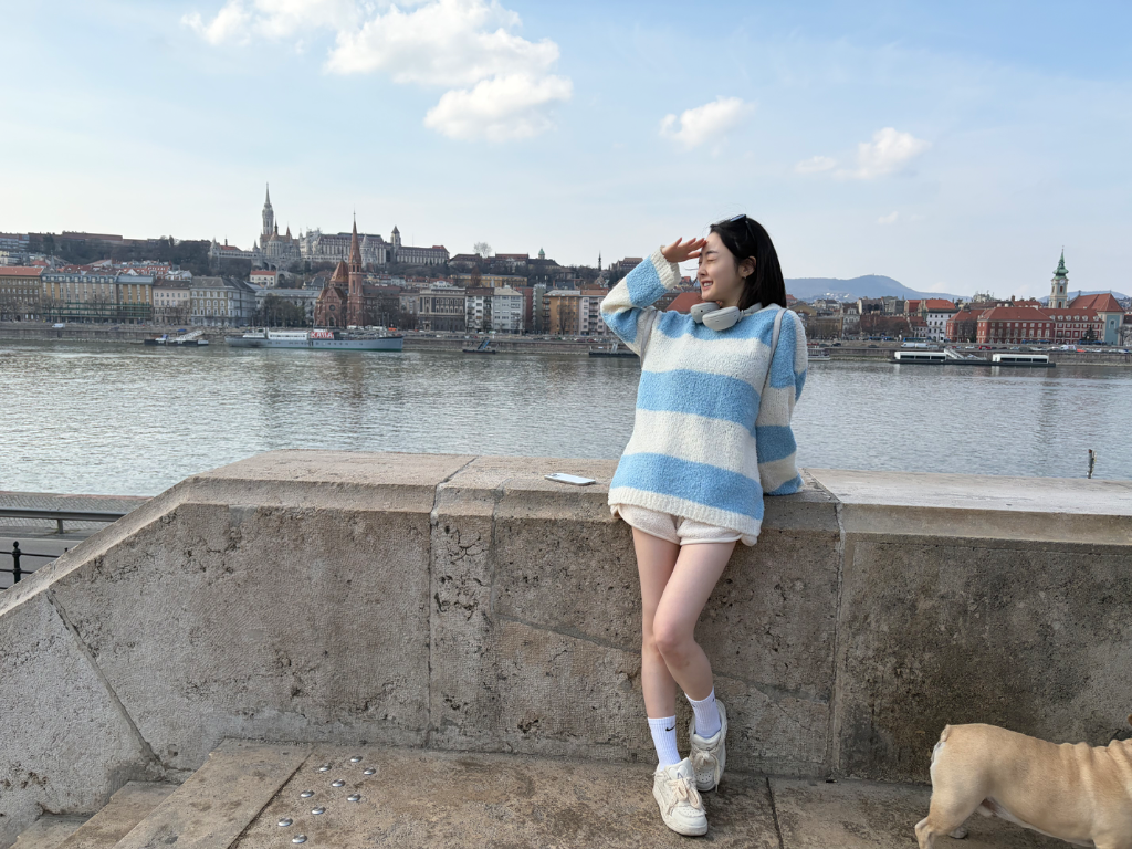 이미지 9