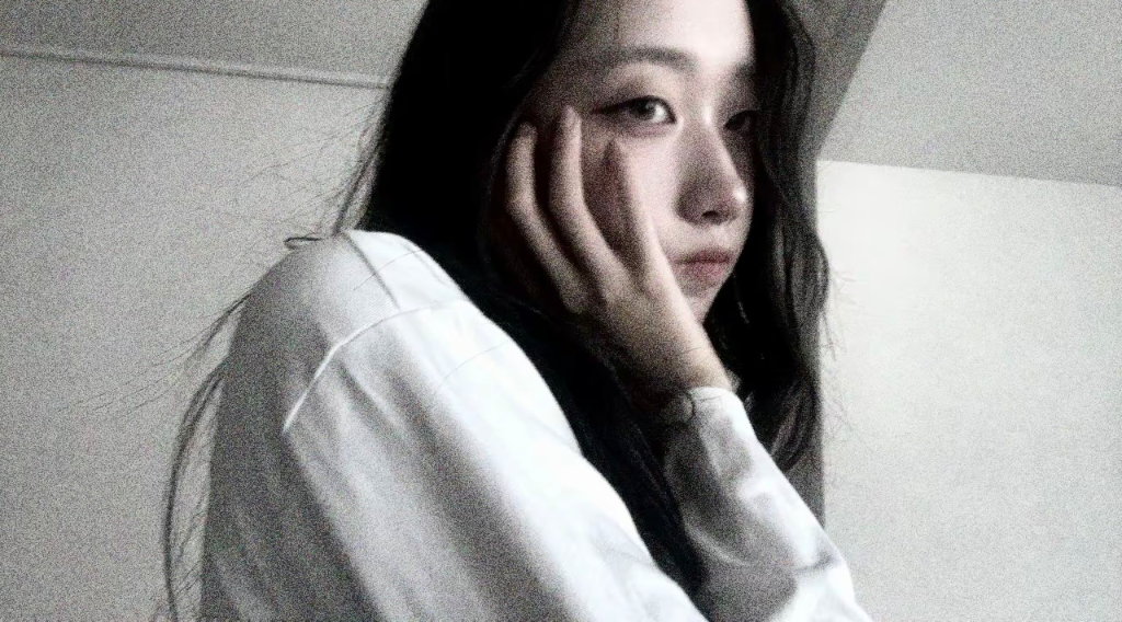 이미지 5