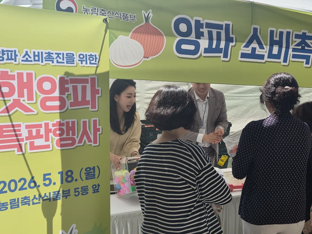 이미지 15