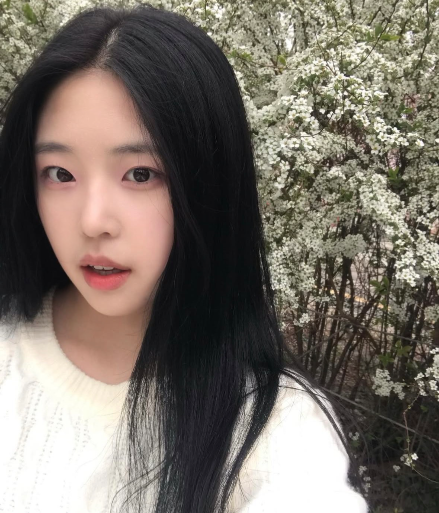 이미지 4