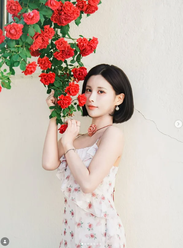 이미지 13