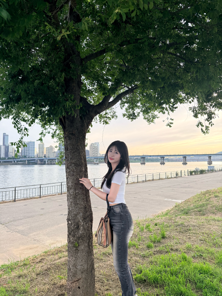 이미지 7