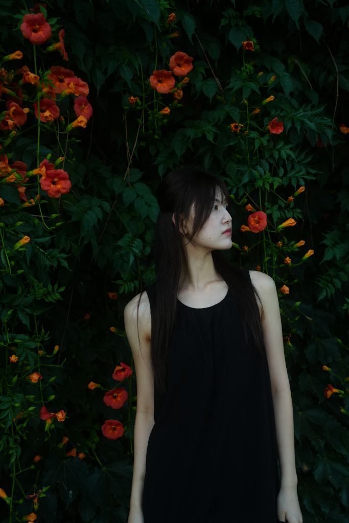 이미지 6