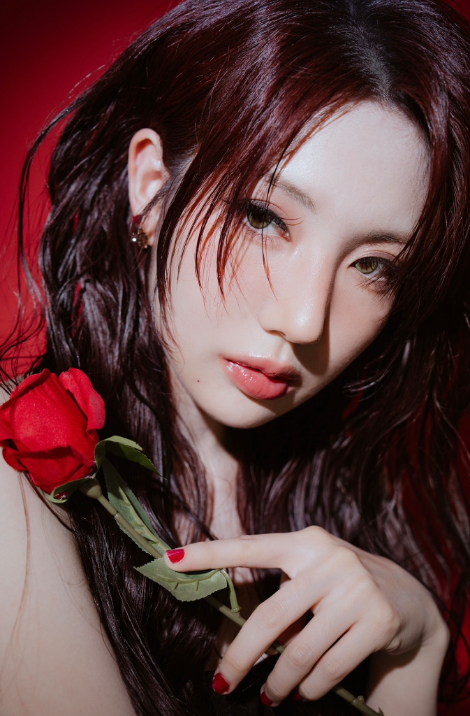 이미지 4