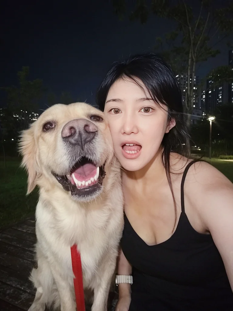 이미지 3