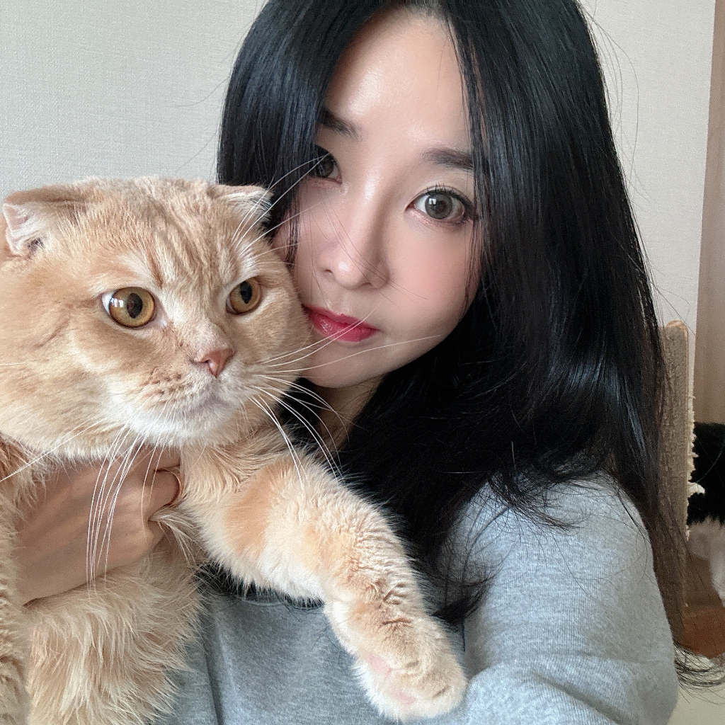 이미지 4