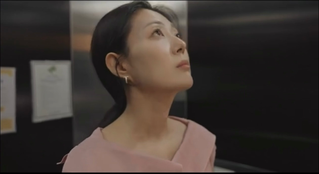 이미지 17