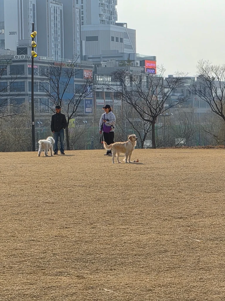 이미지 13
