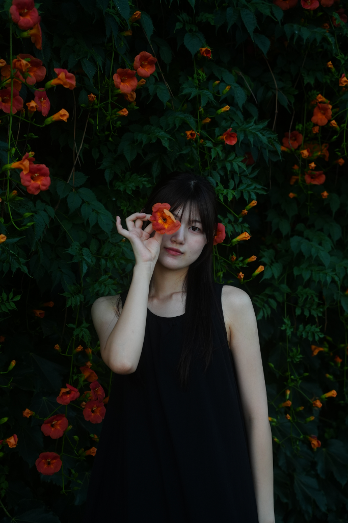 이미지 2