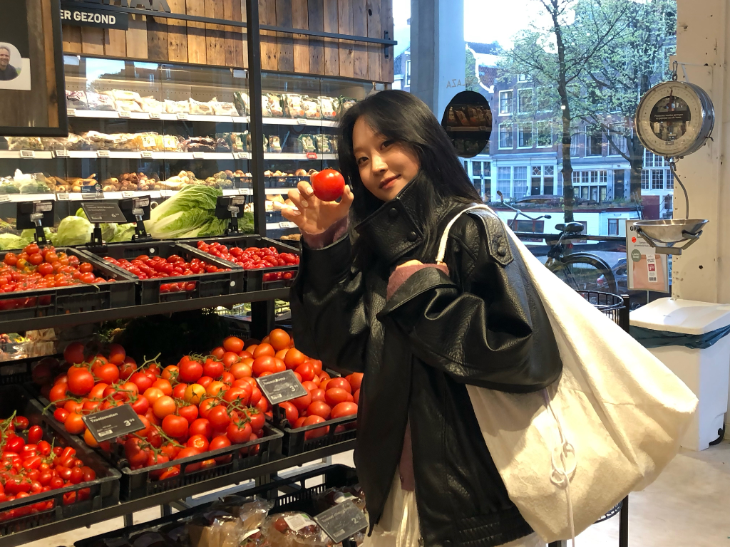 이미지 8