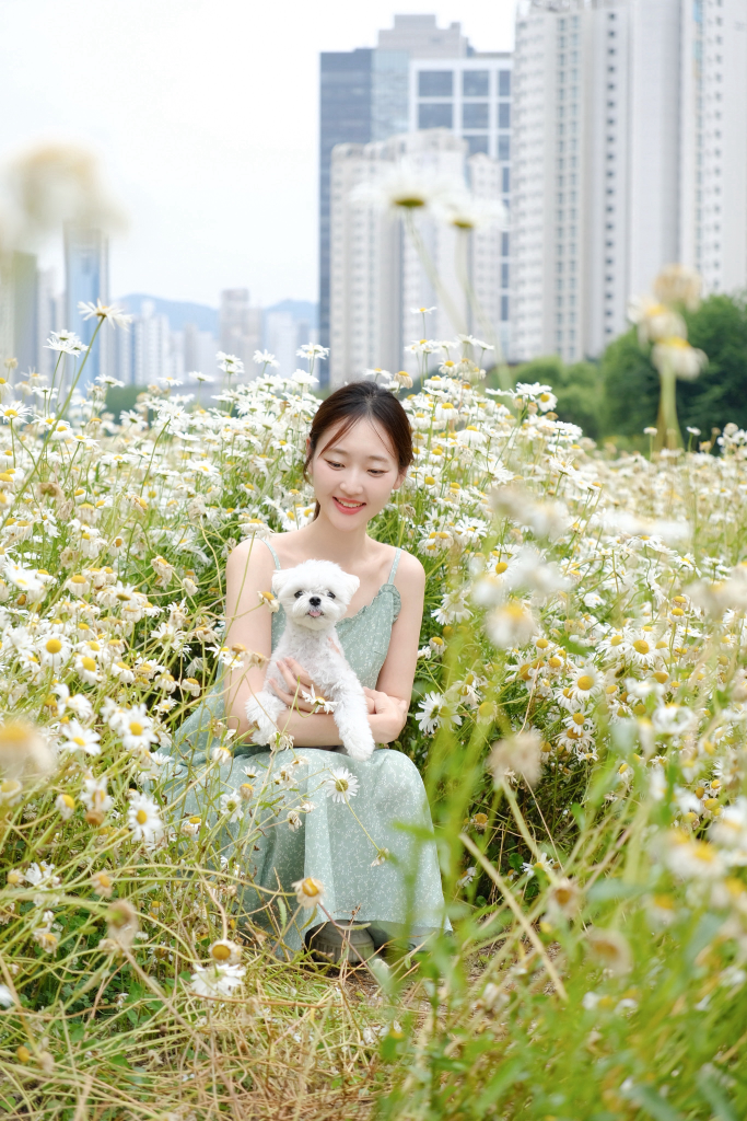 이미지 7