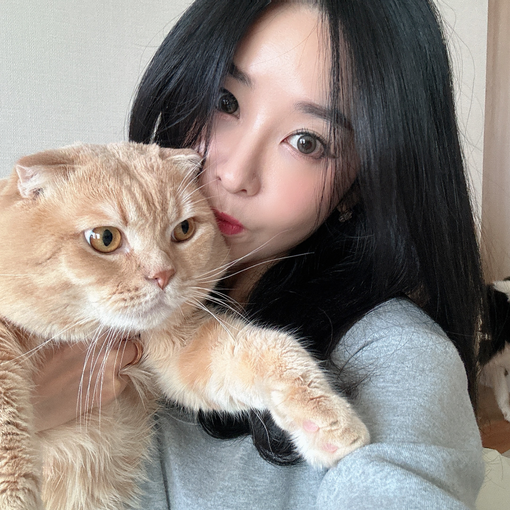 이미지 5
