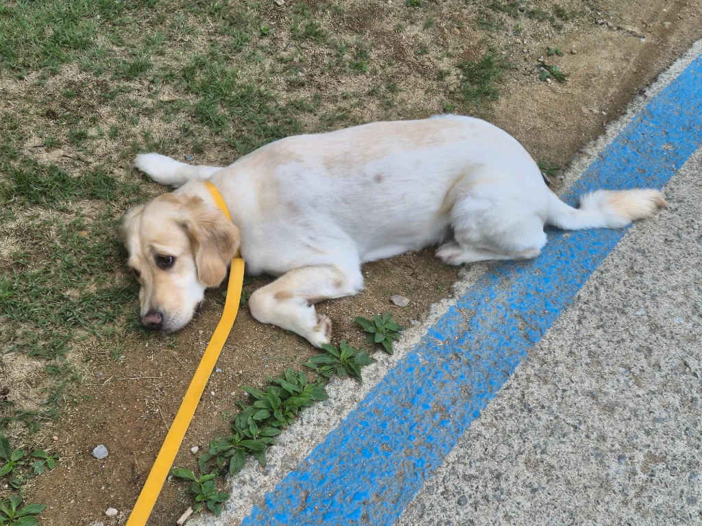 이미지 18