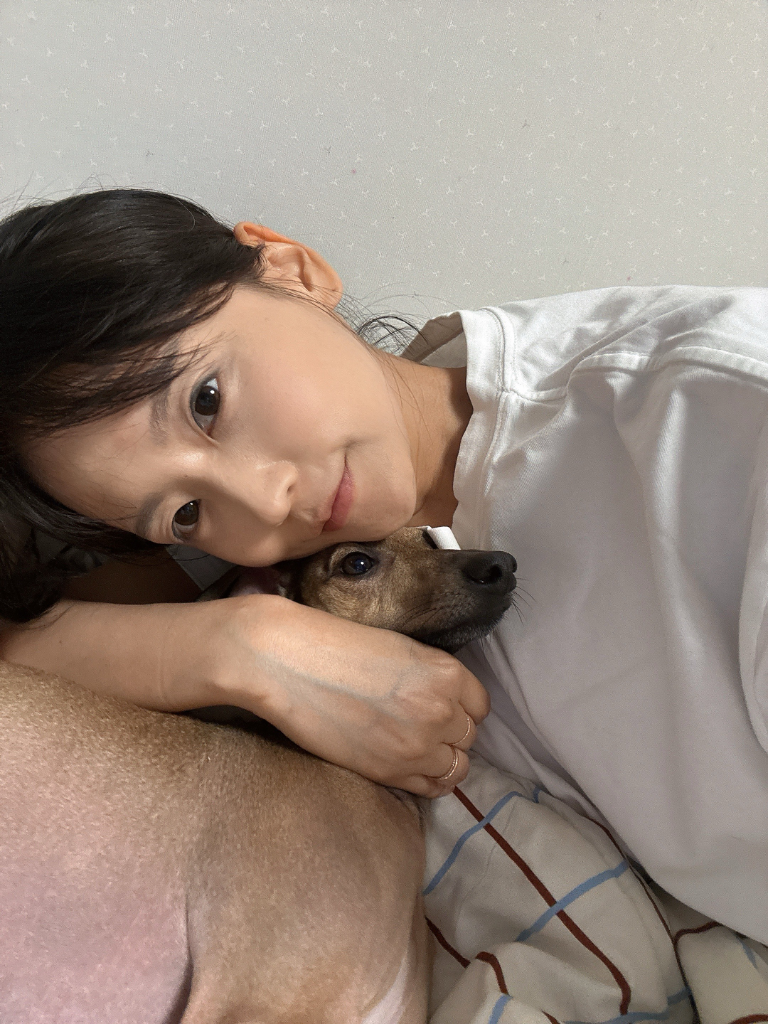 이미지 6