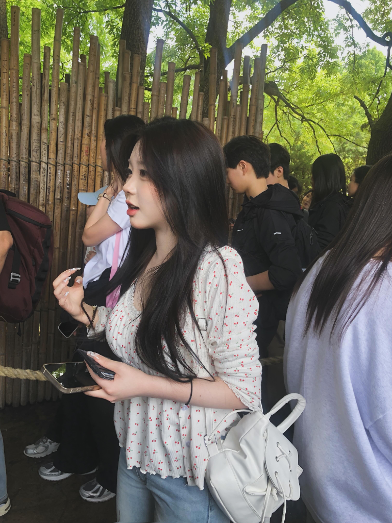 이미지 5