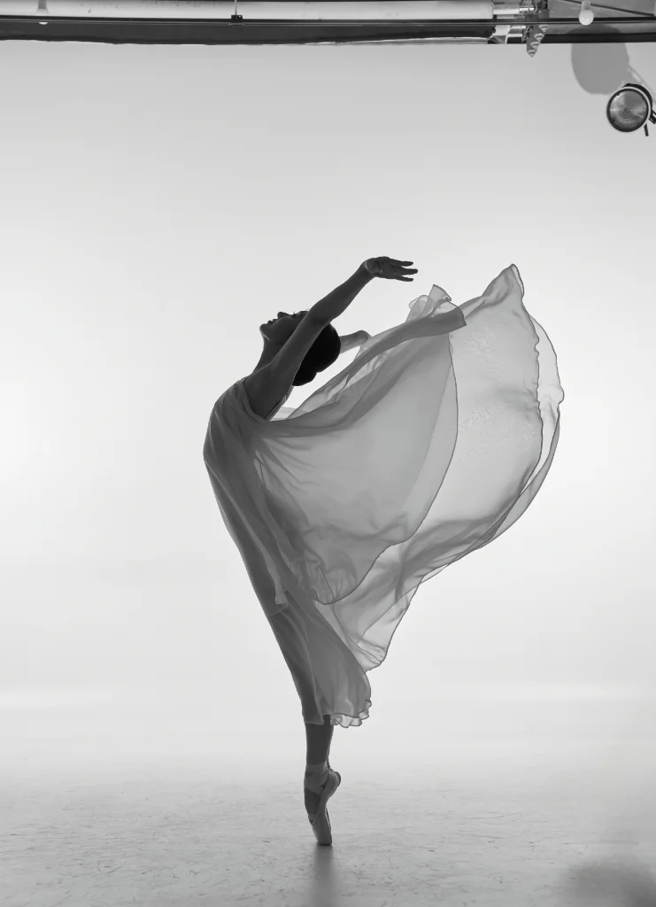 이미지 7